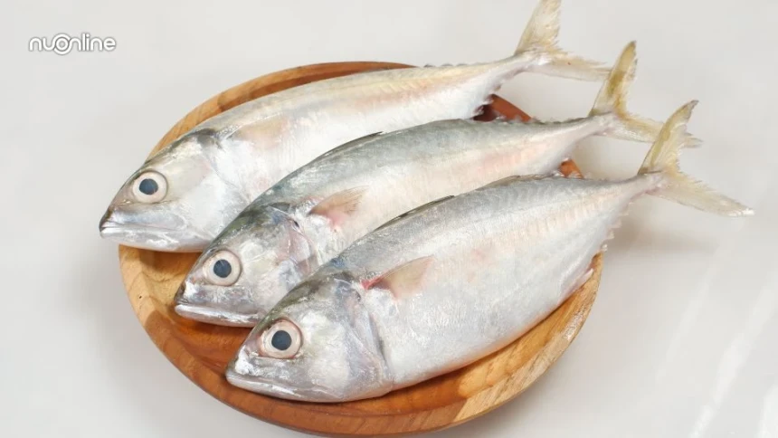 Ikan Baru Ditebar Langsung Ditangkap Warga: Apakah Halal?