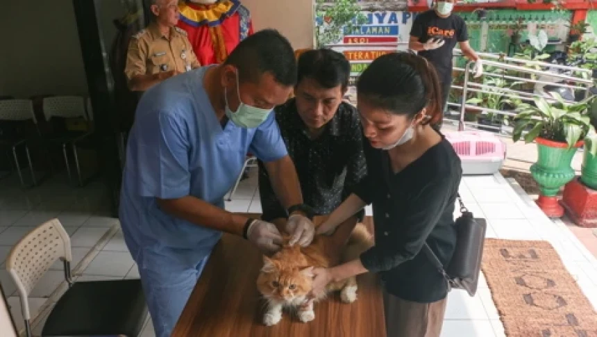 Menjaga Kesehatan Hewan Peliharaan melalui Vaksinasi Rabies