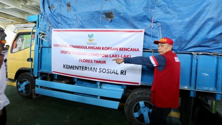 Wamensos Pantau Langsung Penyaluran Bantuan untuk Korban Letusan Gunung Lewotobi