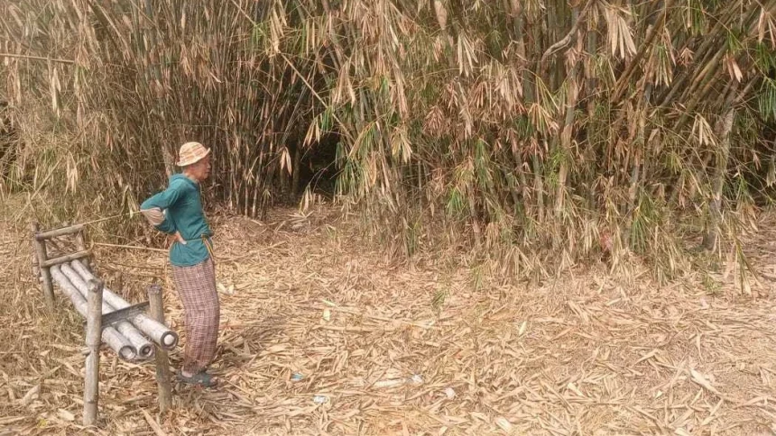 Tiga Bulan Dilanda Kekeringan, Warga Cibarusah Keluhkan Gagal Panen dan Sulit Air Bersih
