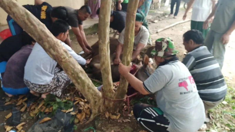 Yayasan Baitul Ihsan Nusantara Citayam Bagikan 350 Paket Daging Kurban untuk Dhuafa