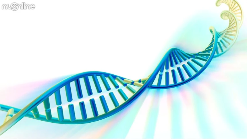 Menjelang Bahtsul Masail Muktamar ke-35 NU: Ke Mana Arah Hukum Komersialisasi Data DNA?