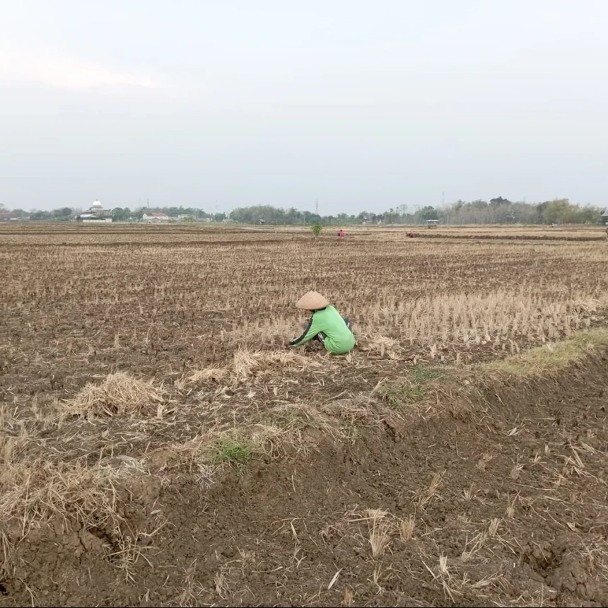 Hari Tani Nasional: Petani Sengsara, Kebijakan Pemerintah Tidak Pro-Petani