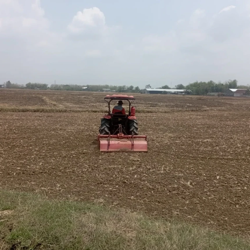 Akademisi Ungkap Profesi Petani Makin Tak Menarik bagi Generasi Muda, Ini Penyebabnya