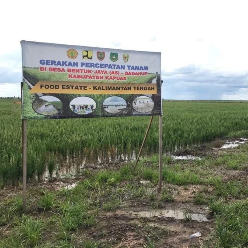 Pengamat Dorong Pemerintahan Prabowo-Gibran Kaji Ulang Food Estate dalam 100 Hari Pertama