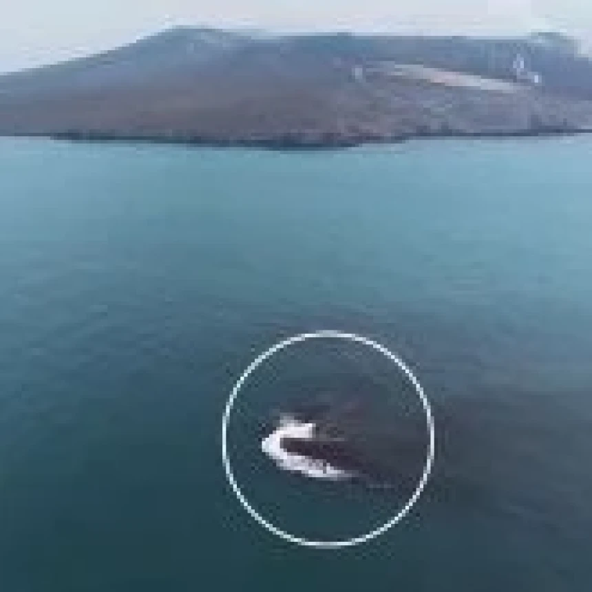 Ada Daratan Baru di Sekitar Anak Krakatau, Ini Penjelasan BMKG