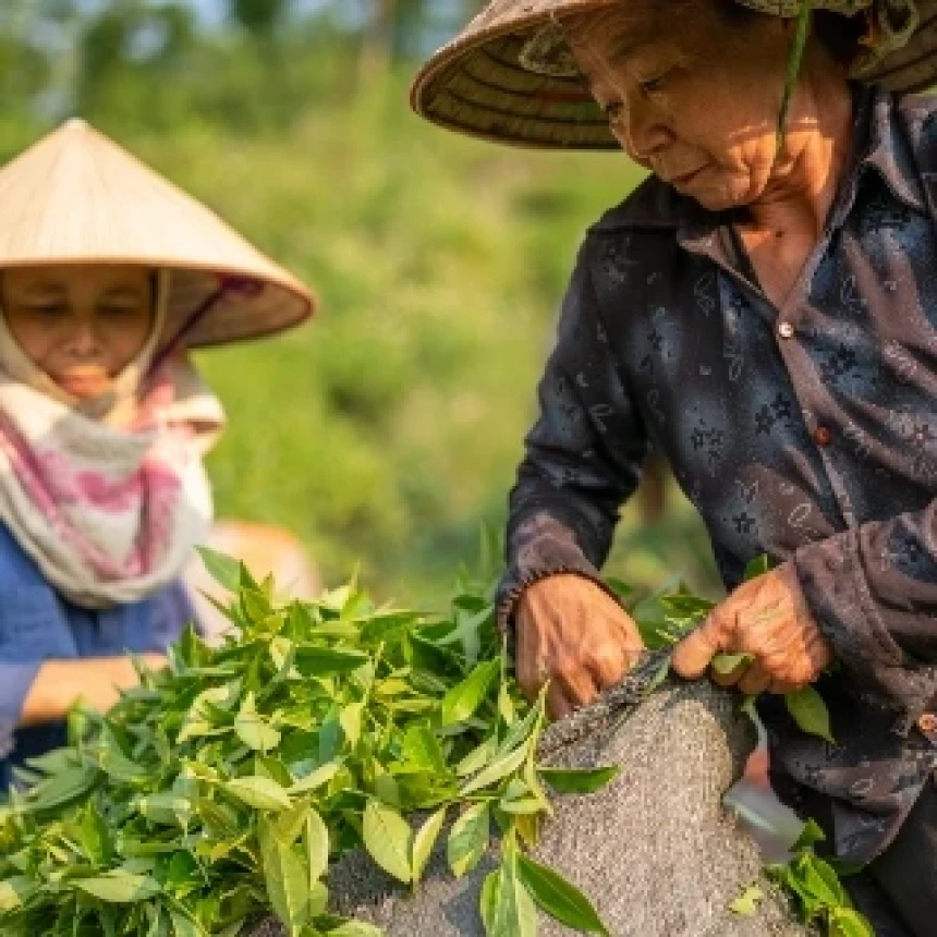 May Day 2026, SPI Dorong Pelaksanaan Reforma Agraria untuk Keadilan dan Kesejahteraan Petani dan Buruh