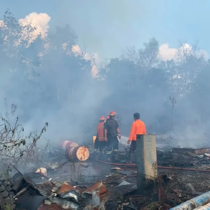 Kebakaran Hutan Meluas di 6 Provinsi, BNPB Tekankan Daerah Perkuat Kesiapsiagaan
