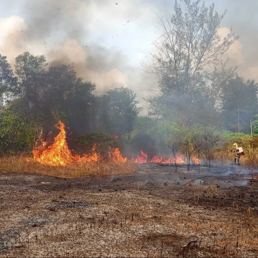 Karhutla Terus Berulang, 6 Provinsi Terdampak dan Puluhan Hektare Lahan Hangus