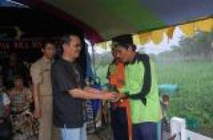 Sengon Hasil Pembibitan Ansor Dibagikan Gratis