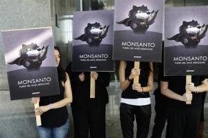 Petani Lawan Monsanto (1)