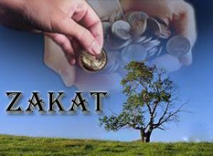 Tentang Zakat Fitrah