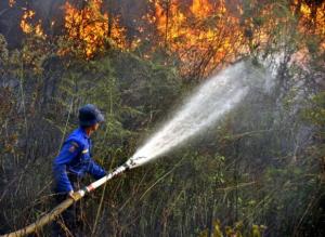 Kebakaran Hutan dan Urgensi Kesalehan Ekologis