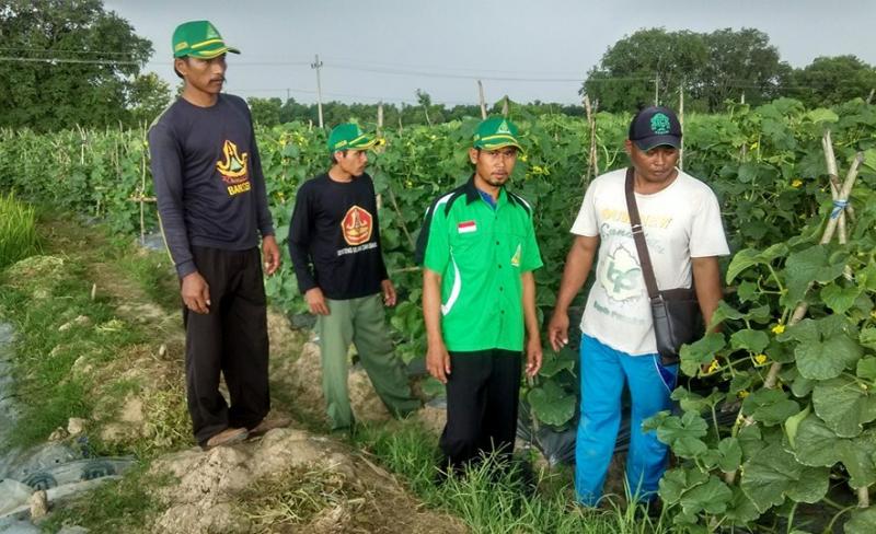 GP Ansor Sumber Kembangkan Pertanian Melon dengan Studi Banding