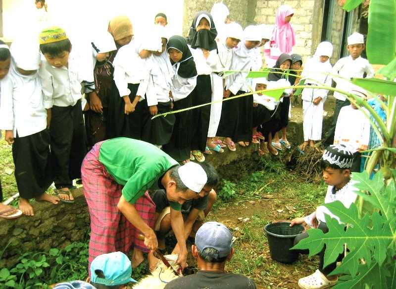 Hukum Urunan Kurban Anak-anak Sekolah