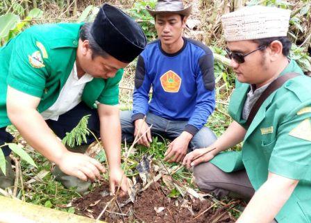 Ansor Jabar Tanami 99 Ribu Bibit Pohon di Hulu Cimanuk