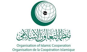 OIC establishes group on peace, conflict resolution