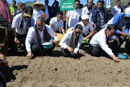 Fokus Produk Unggulan Bawang Putih, Pendapatan Warga Desa Sembalun Meningkat