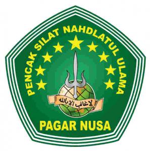 Pagar Nusa Magelang regrets already planned action at Borobudur Temple