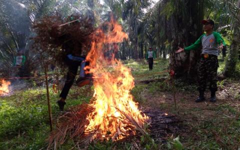 Catatan Kaderisasi Ansor dan Banser dari Ujung Selatan Kaltim