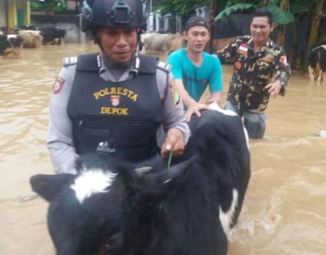 Banjir hingga 4 Meter di Kampung Lebak, Banser dan Polres Depok Turun Tangan