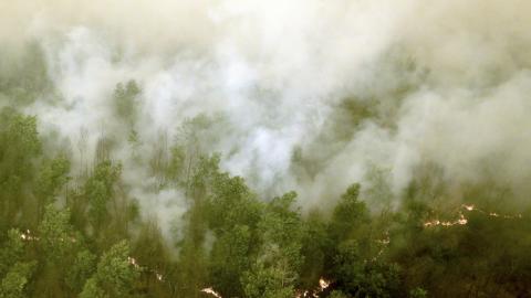 LPBINU Siap Bantu Pemerintah Cegah Kebakaran Hutan dan Lahan