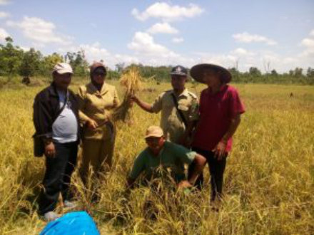 Lestari, Perempuan Pejuang Antibakar Lahan dari Sebangau Jaya