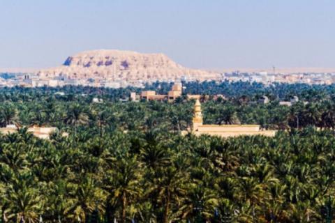 Saudi lauds Indonesia's support to make Al-Ahsa Oasis world heritage