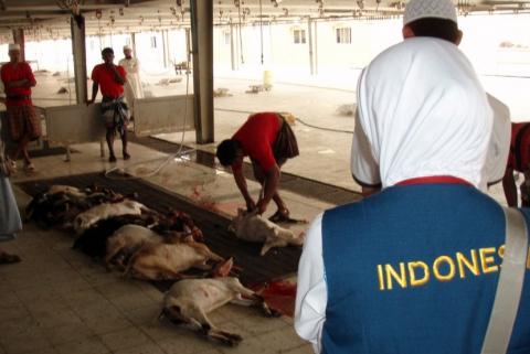 Saudi to send sacrificial meat to Muslims in Indonesia