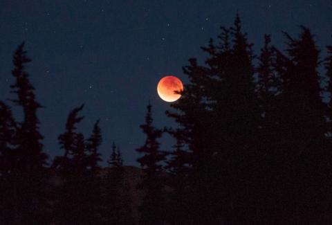 Khutbah Gerhana Bulan: Tafakur, Ibadah yang Sering Dilupakan