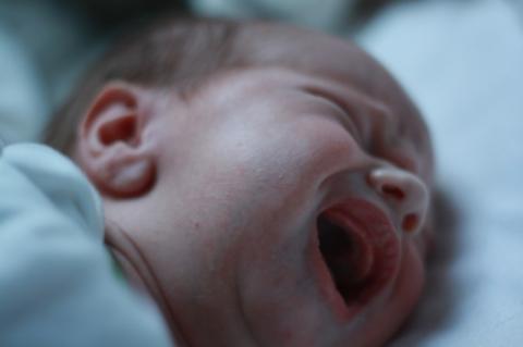 Tinjauan atas Kualitas Keshahihan Hadits Adzan untuk Bayi