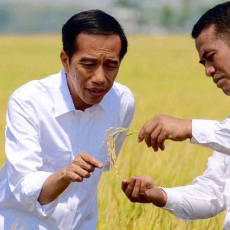 Wujudkan Pertanian 4.0, Presiden Jokowi Minta Petani Olah Ladang Tanpa Bakar
