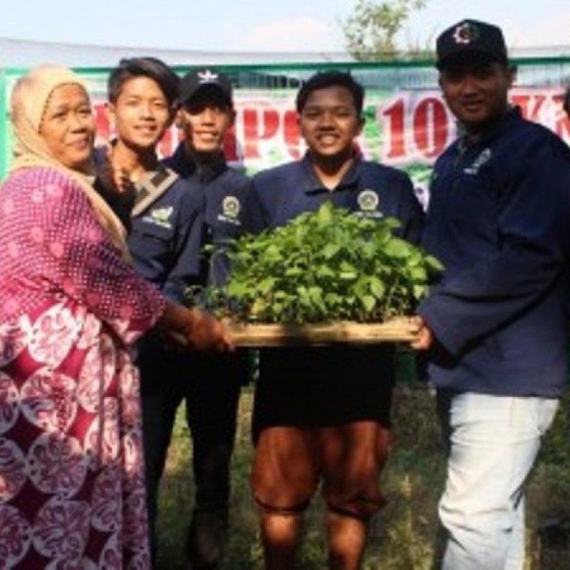 Manfaatkan Pekarangan Rumah, Tani Millenial dan Kaum Emak di Jombang Tanam Holtikultura