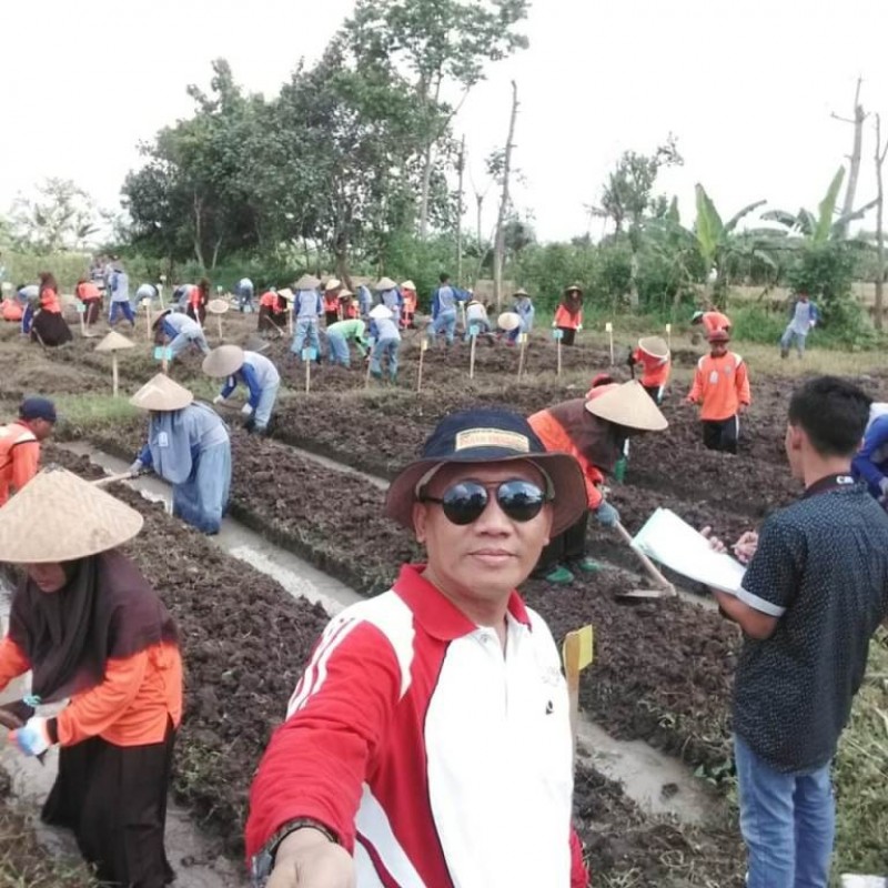 Jatuh Bangun, Minarno Sukses Produksi  Benih Bibit Hortikultura