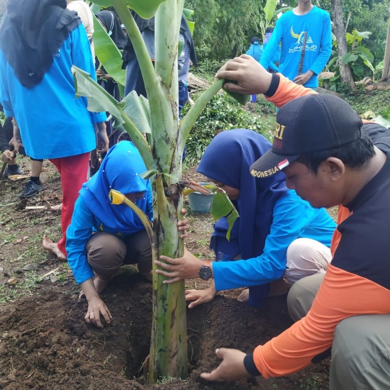 IPNU-IPPNU di Mojokerto Berdayakan Ekonomi dengan Pohon Pisang