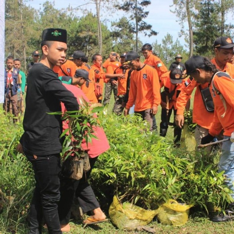 Hijaukan Alam, NU Backpacker Karanganyar Tanam 1.000 Bibit Pohon