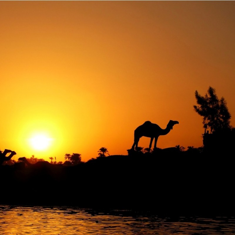Benarkah Sungai Nil dan Eufrat Bersumber dari Surga?