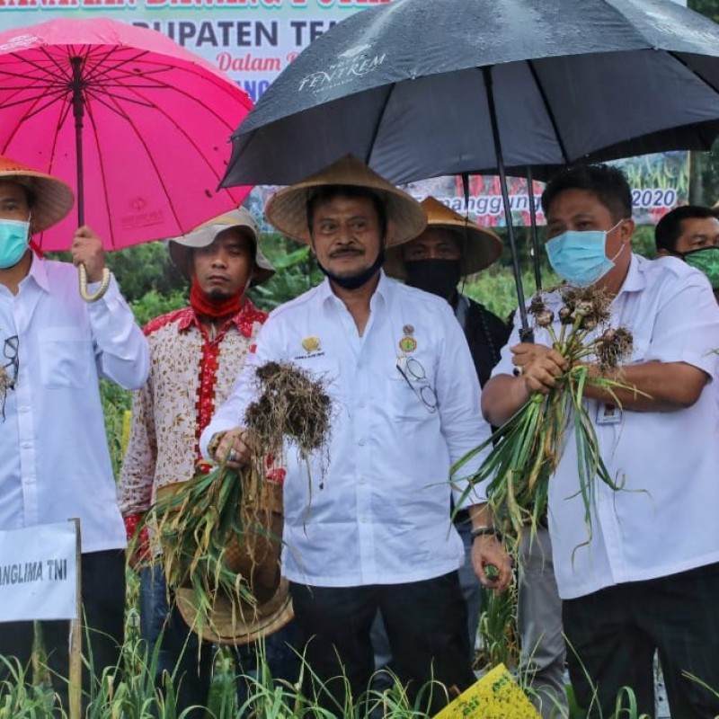Di Tengah Wabah Corona, Ekspor Pertanian Indonesia Naik Sebesar USD 320 Juta