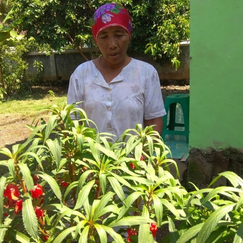 Akibat Covid-19, Pedagang Bunga Sekar di Kota Banjar Kehilangan Penghasilan