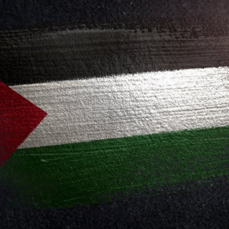 Peneliti Jewish Studies Ungkap Peluang NU untuk Bantu Palestina