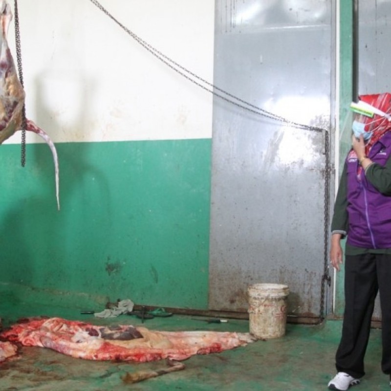 Warga Brebes Dianjurkan Sembelih Kurban di Rumah Pemotongan Hewan