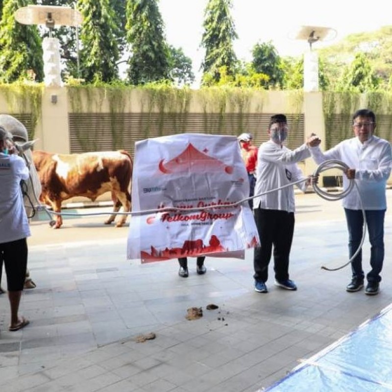 TelkomGroup Salurkan Lebih dari 1.000 Hewan Kurban ke Seluruh Indonesia