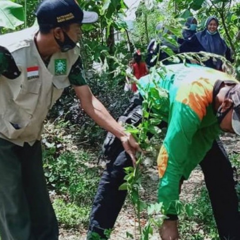 Siaga Bencana: LPBINU Ponorogo Ajak Warga Desa Tanam Pohon