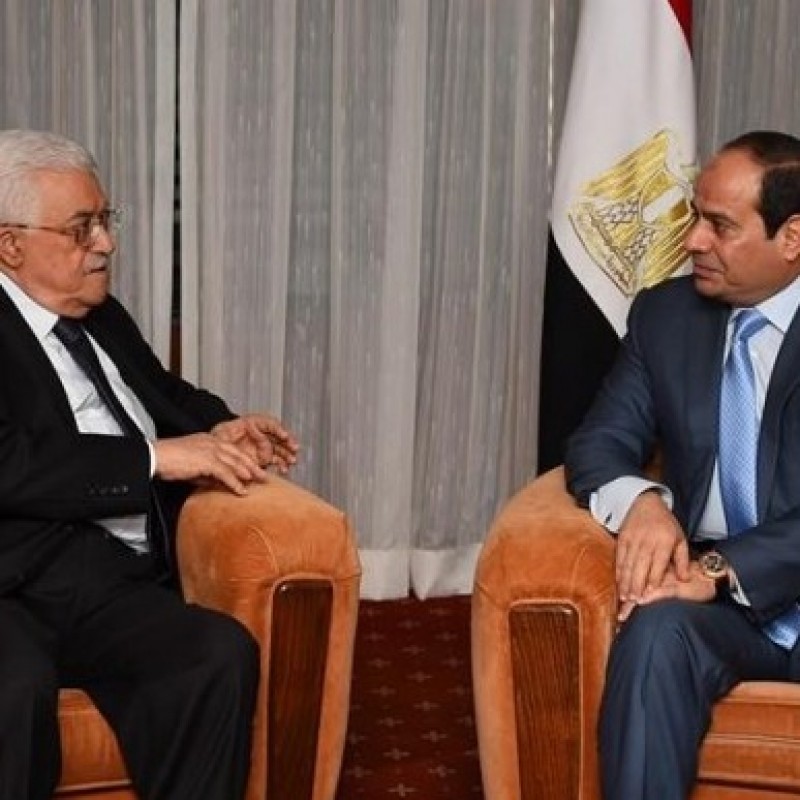 Mesir Janji Dukung Penuh Palestina
