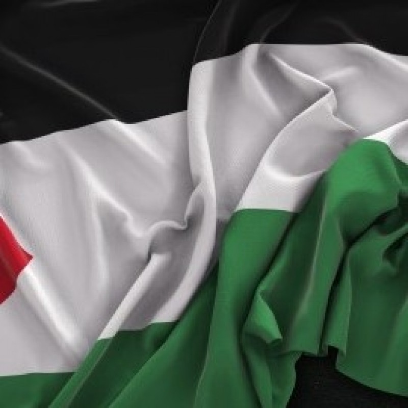 Presiden Abbas Apresiasi GCC yang Dukung Palestina
