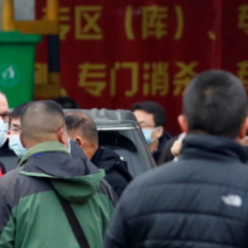 WHO Berhasil Selesaikan Penyelidikan Asal-usul Corona di Wuhan