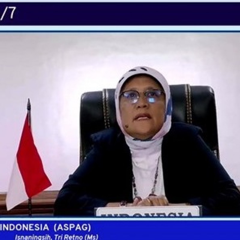 Indonesia Dorong Dialog Sosial dan Tripartisme Masuk Program Pembangunan PBB
