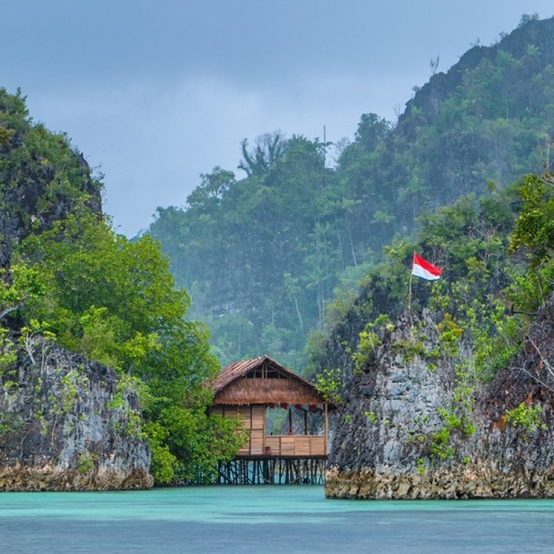 Mencari Titik Temu dalam Persoalan Papua