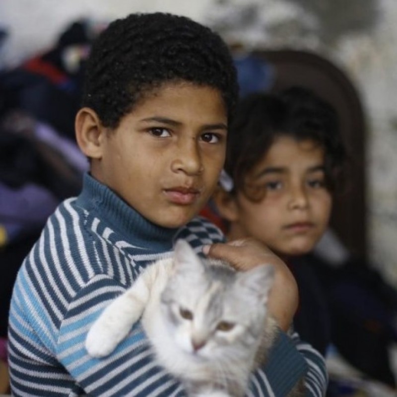 Enam Hari Serangan Israel, Korban Anak Meninggal Capai 40 Orang