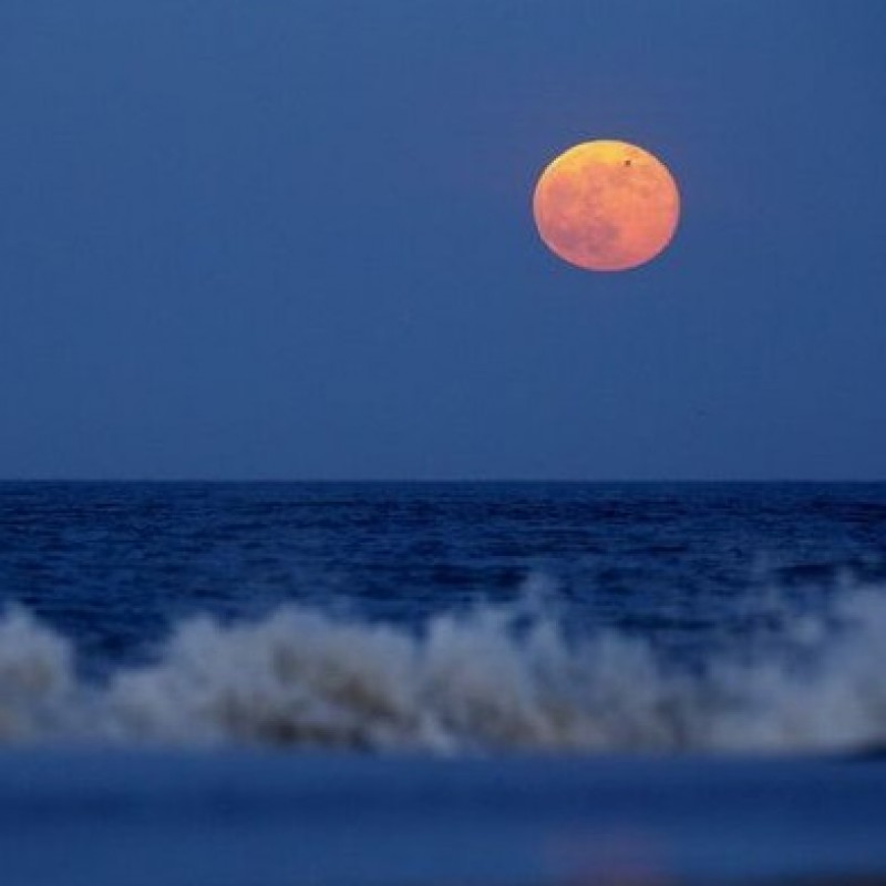 Gerhana Bulan Total, Masyarakat Pesisir Perlu Waspada Pasang Air Laut Tinggi